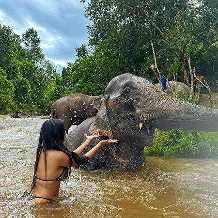 Wild Park Safari Home Stay Udawalawe Kültér fotó