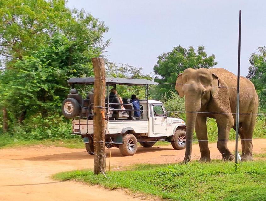 Wild Park Safari Home Stay Udawalawe Kültér fotó