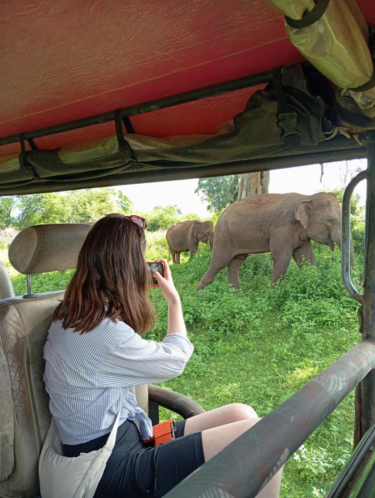 Wild Park Safari Home Stay Udawalawe Kültér fotó