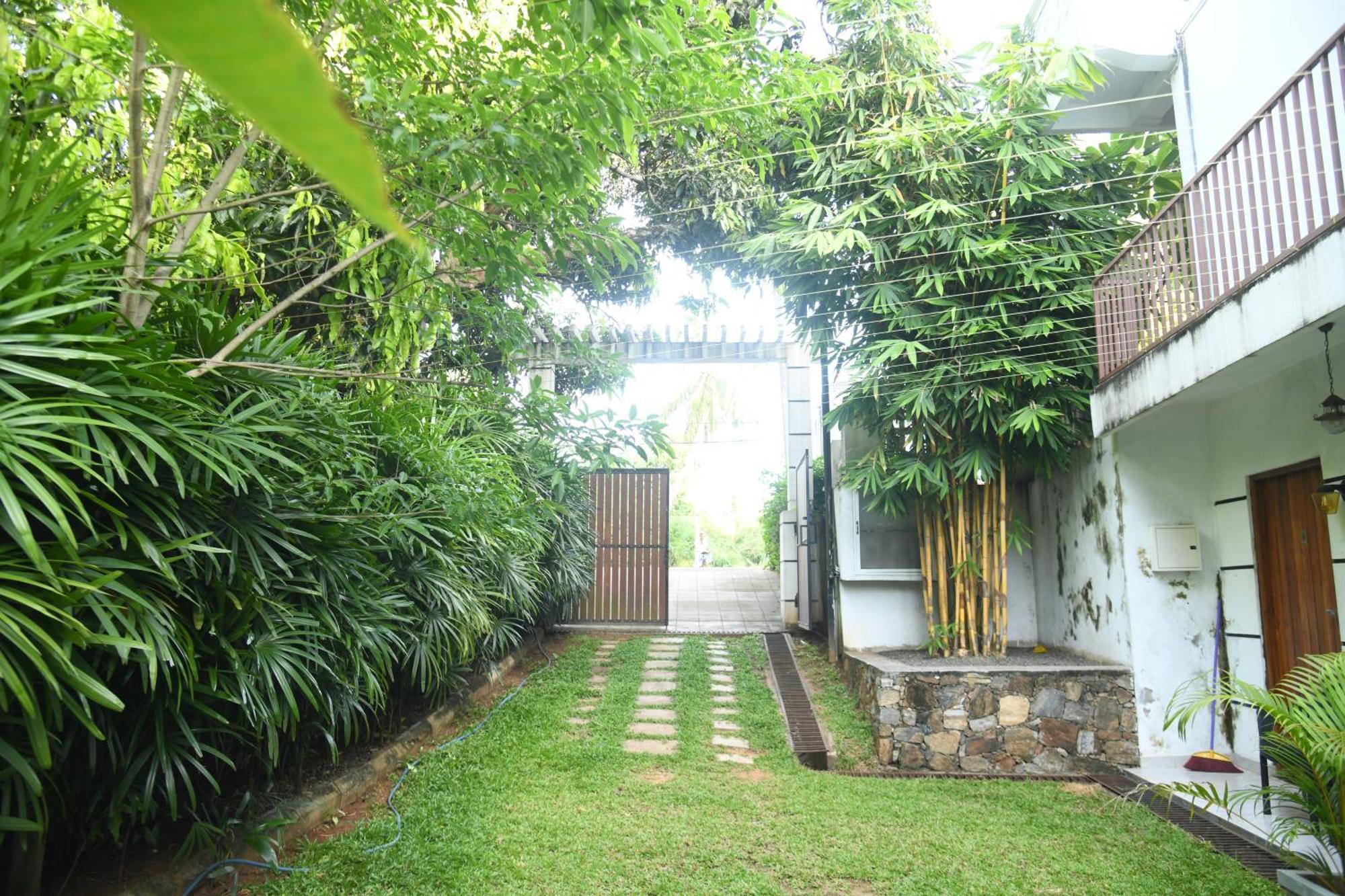 Wild Park Safari Home Stay Udawalawe Kültér fotó