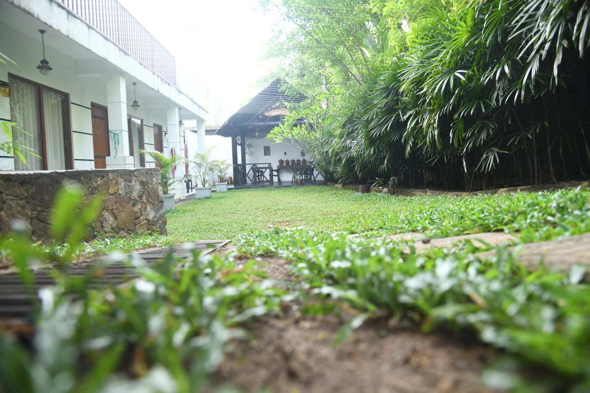 Wild Park Safari Home Stay Udawalawe Kültér fotó