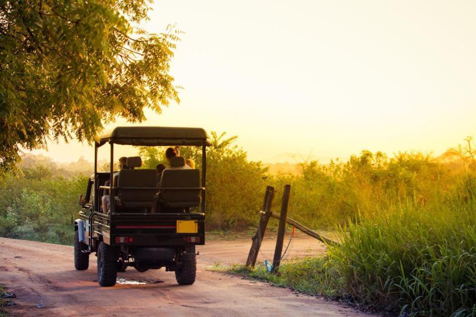 Wild Park Safari Home Stay Udawalawe Kültér fotó